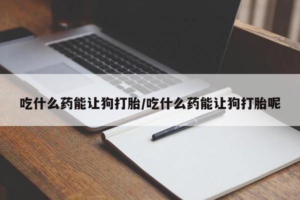 流产药吃什么药能让狗打胎/吃什么药能让狗打胎呢