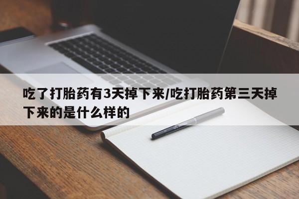 流产药吃了打胎药有3天掉下来/吃打胎药第三天掉下来的是什么样的